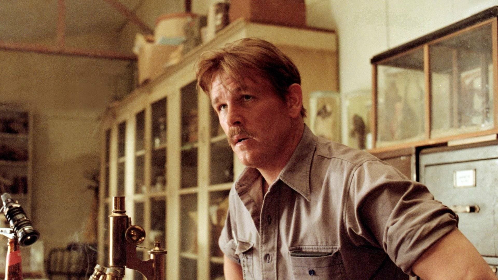 Cannery Row backdrop